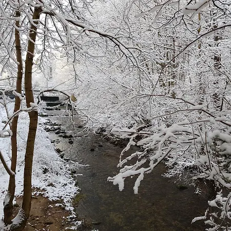 Agroturystyka U Luizy Bauernhof *